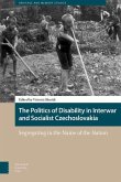 The Politics of Disability in Interwar and Socialist Czechoslovakia (eBook, PDF)