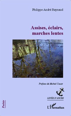 Assises, éclairs, marches lentes - Raynaud, Philippe André