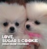 Love Sugar & Cookie - Bild 1