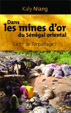 Dans les mines d'or du Sénégal oriental - Niang, Kaly