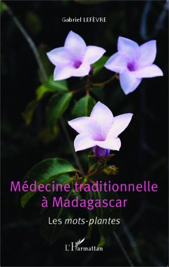 Médecine traditionnelle à Madagascar - Lefevre, Gabriel