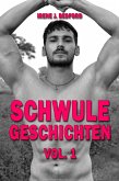 Schwule Geschichten (eBook, ePUB) Schwule Geschichten (eBook, ePUB)
