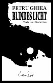 Blindes Licht (eBook, ePUB)