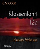 Klassenfahrt 12c (eBook, ePUB)