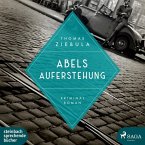 Abels Auferstehung / Paul Stainer Bd.2 (2 MP3-CDs)