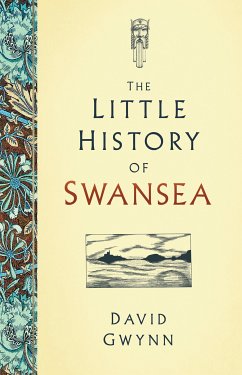 The Little History of Swansea (eBook, ePUB) - Gwynn, David