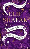 A szerelem 40 szabálya (eBook, ePUB)