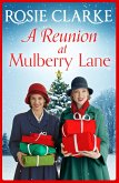 A Reunion at Mulberry Lane (eBook, ePUB)