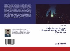 Multi-Sensor Remote Sensing Synergy for REDD Monitoring