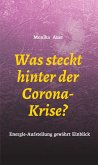 Was steckt hinter der Corona-Krise? (eBook, ePUB)