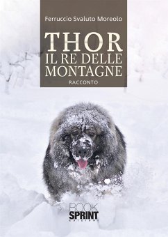 Cover Thor il re delle montagne (eBook, ePUB)