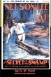 The Secret of the Swamp - Bild 1