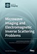 Microwave Imaging and Electromagnetic... - Bild 1
