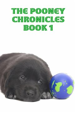 The Pooney Chronicles Book 1 - Sheinberg, Frannie