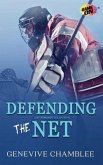 Defending the Net