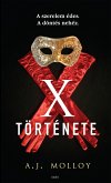 X története (eBook, ePUB)