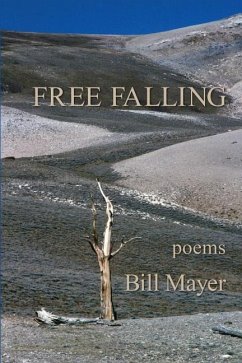 Free Falling - Mayer, Bill