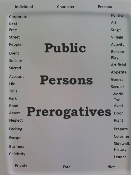 Public Persons Prerogatives (eBook, ePUB)
