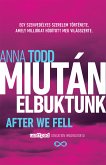 Miután elbuktunk (eBook, ePUB)