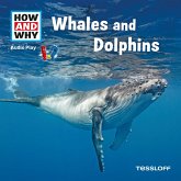 HOW AND WHY Audio Play Whales And Dolphins (MP3-Download)