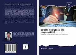 Situation actuelle de la responsabilité - Siddiqy, Ruhullah