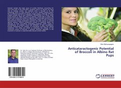 Anticataractogenic Potential of Broccoli in Albino Rat Pups