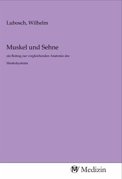 Muskel und Sehne