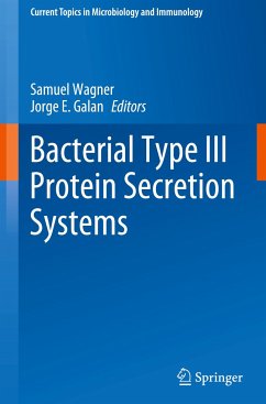 Bacterial Type III Protein Secretion Systems