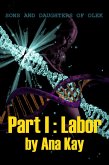 Part I: Labor (Sons and Daughters of Olek) (eBook, ePUB)