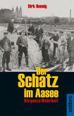 Der Schatz im Aasee (eBook, ePUB)