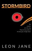 Stormbird (eBook, ePUB)