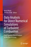 Data Analysis for Direct Numerical Simulations of Turbulent Combustion (eBook, PDF)