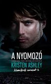 A nyomozó (eBook, ePUB)