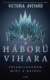 A háború vihara (eBook, ePUB)