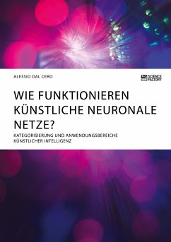 Wie funktionieren künstliche neuronale Netze? Kategorisierung und Anwendungsbereiche künstlicher Intelligenz - Dal Cero, Alessio