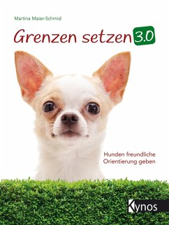 Grenzen setzen 3.0 (eBook, ePUB) - Maier-Schmid, Martina