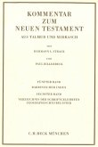 Kommentar zum Neuen Testament aus Talmud und Midrasch Bd. 5/6: Rabbinischer Index, Verzeichnis der Schriftgelehrten, geographisches Register (eBook, PDF)