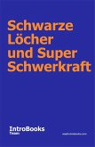 Schwarze Löcher und Super Schwerkraft (eBook, ePUB)