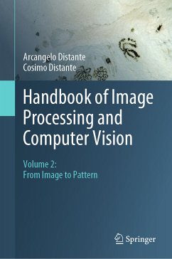 Handbook of Image Processing and Computer Vision (eBook, PDF) - Distante, Arcangelo; Distante, Cosimo