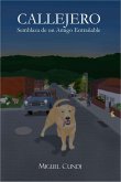 Callejero (eBook, ePUB)