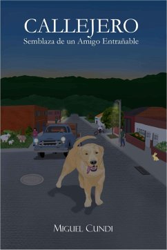 Callejero (eBook, ePUB) - Cundi, Miguel