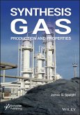 Synthesis Gas (eBook, ePUB)
