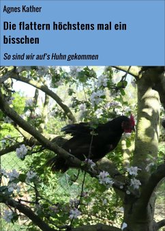 Die flattern höchstens mal ein bisschen (eBook, ePUB) - Kather, Agnes