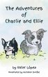 The Adventures of Charlie and Ellie - Bild 1