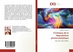 Cinétique de la dégradation photocatalytique - Shigwedha, Nditange