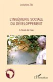 L'ingénierie sociale du développement