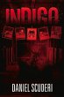 Indigo - Bild 1