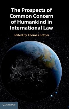 The Prospects of Common Concern of Humankind in International Law