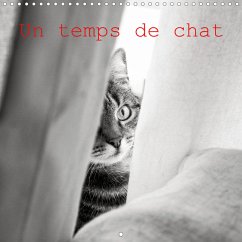 Un Temps De Chat Calendrier Mural 21 300 300 Mm Square Von Valerie Theninge Kalender Portofrei Bestellen