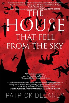 The House that fell from the Sky - Delaney, Patrick